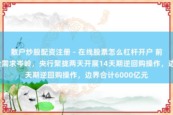 散户炒股配资注册 - 在线股票怎么杠杆开户 前瞻性应酬春节资金需求岑岭，央行聚拢两天开展14天期逆回购操作，边界合计6000亿元